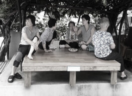 Curators Collective