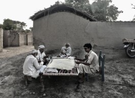 Curators Collective